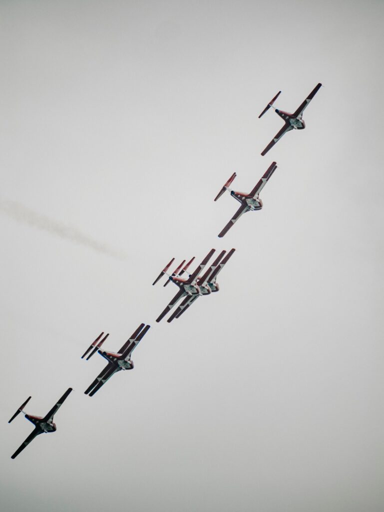 snowbirds in the air