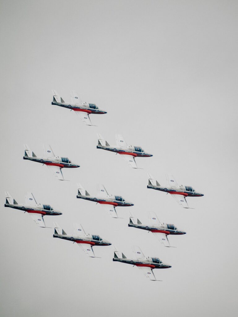 snowbirds in the air