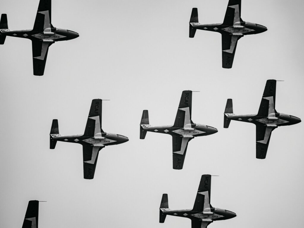 snowbirds in the air